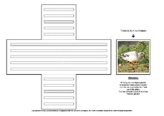Lapbook-Minibuch-Faltform-Lilly-A-1-12.pdf
